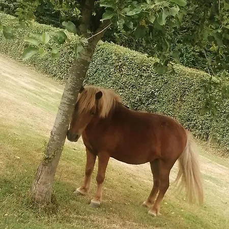 Le Du Pressoir Lägenhet