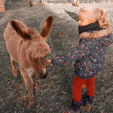 Le Du Pressoir * Gisay