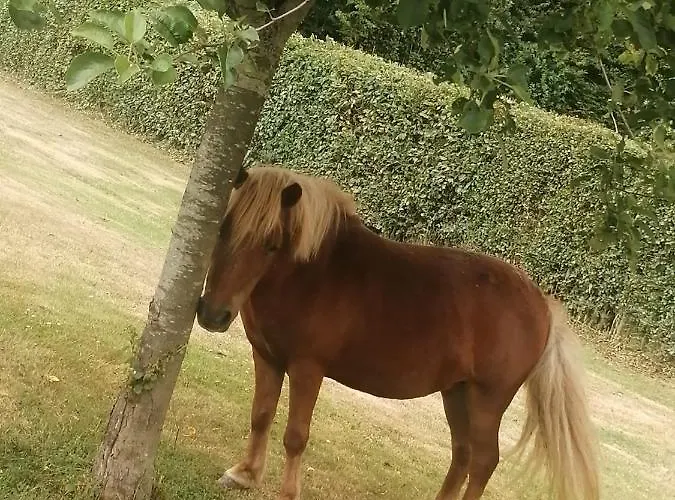 Le Du Pressoir Appartement