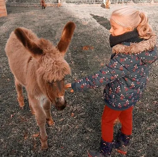 Le Du Pressoir * Gisay