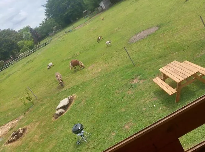 Le Du Pressoir Appartement *